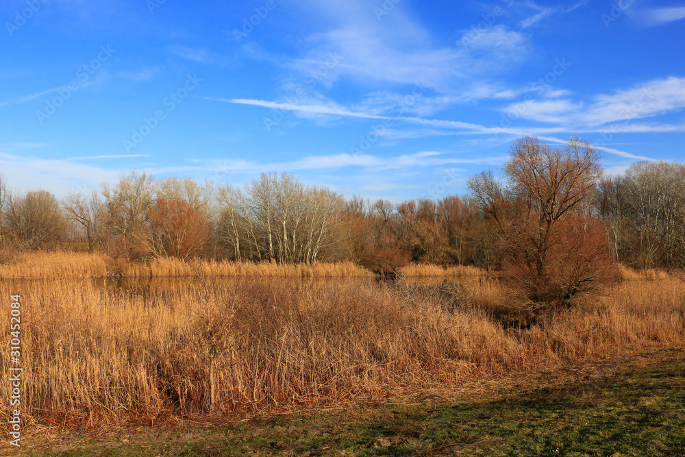Beautiful autumn park at dawn. Autumn landscape. Beautiful autumn park at dawn. Autumn landscape.
