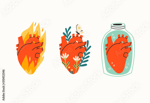 Various three Anatomical hearts. Heart on fire, flowers, butterfly, heart in a jar. Cartoon style. Hand drawn colored set. Trendy vector illustration. All elements are isolated