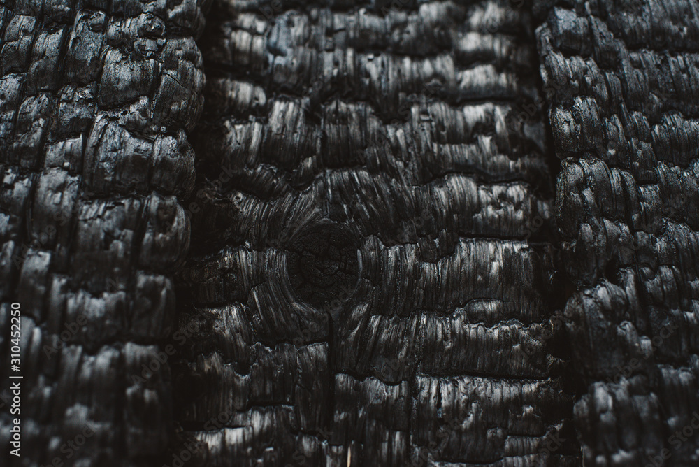 Charred wooden wall. Charred wooden wall.