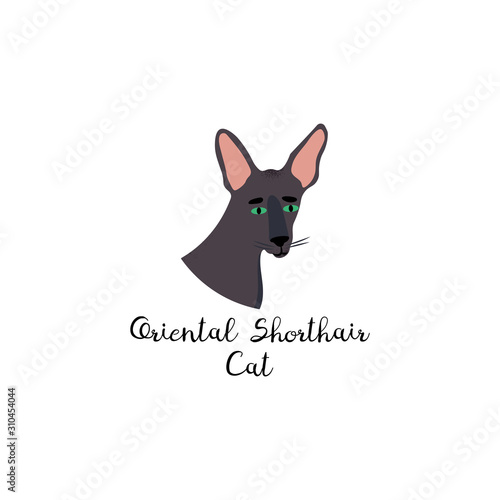 Cute portrait cartoon style of cat. Icon of oriental shorthair breed for a different design. 