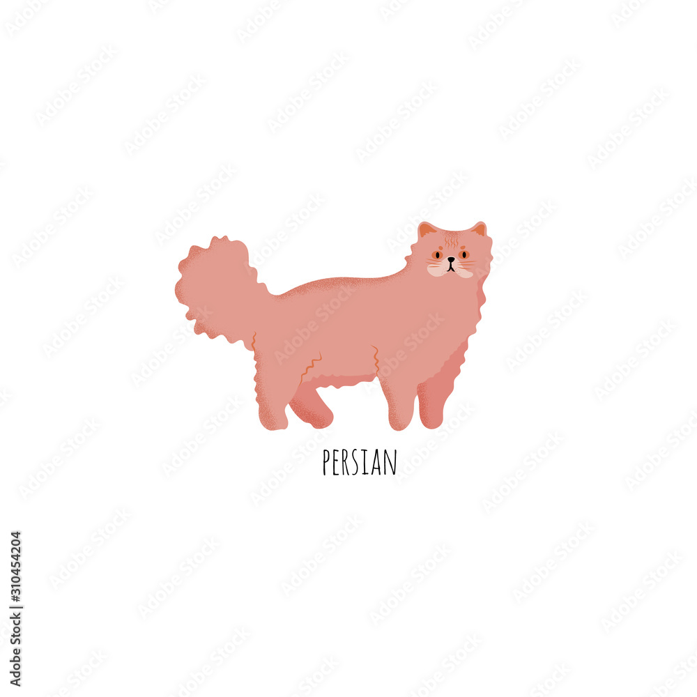 Fototapeta premium Cute character cartoon style of cat. Icon of persian breed for different design. 