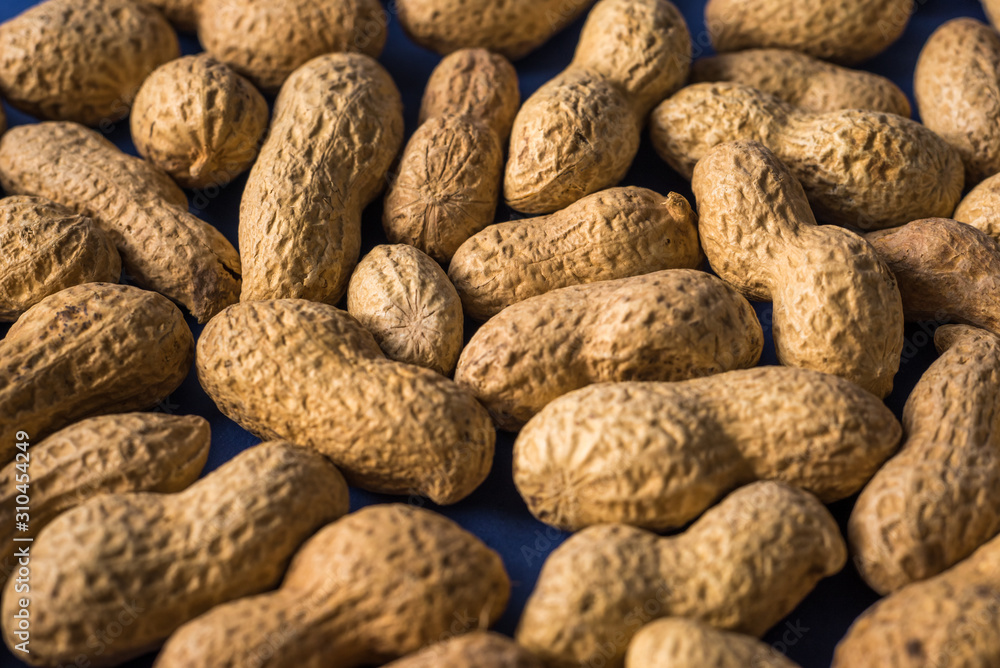 A pile of roasted peanuts on a trendy blue background with place for design and your text. concept. agriculture A pile of roasted peanuts on a trendy blue background with place for design and your text. concept. agriculture