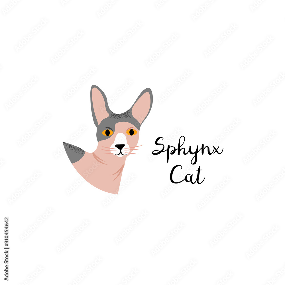 Cute portrait cartoon style of cat. Icon of sphynx breed for a different design. Cute portrait cartoon style of cat. Icon of sphynx breed for a different design.