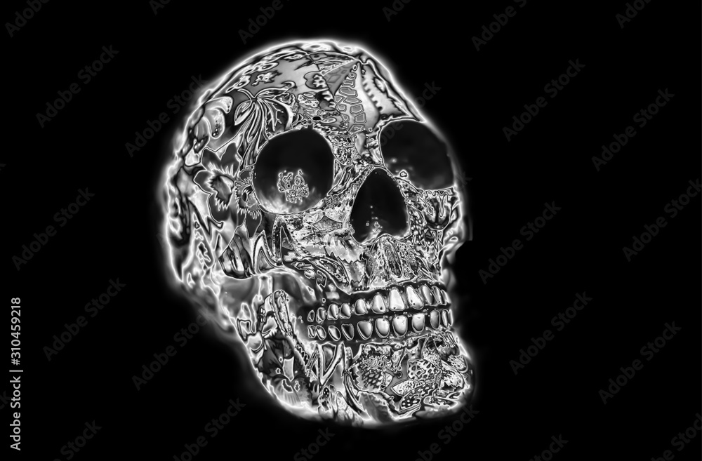 Obraz premium skull on black background