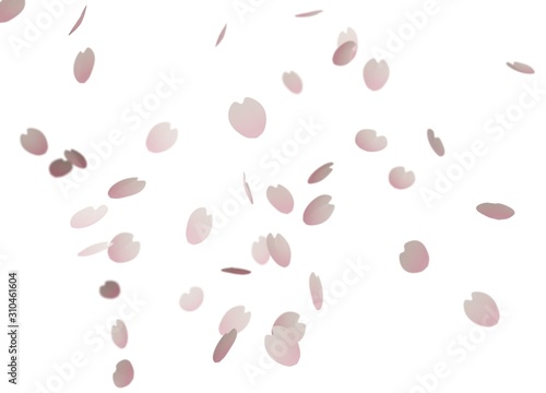 桜の花びらが舞うイメージ