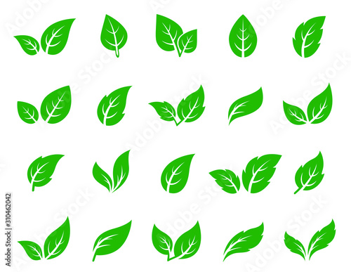 hand drawn veined green leaf icon eco set