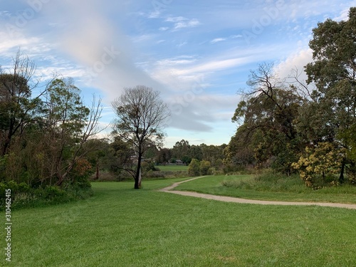 A path through a park area