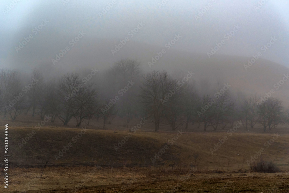 Dark foggy autumn countriside view in morning Dark foggy autumn countriside view in morning