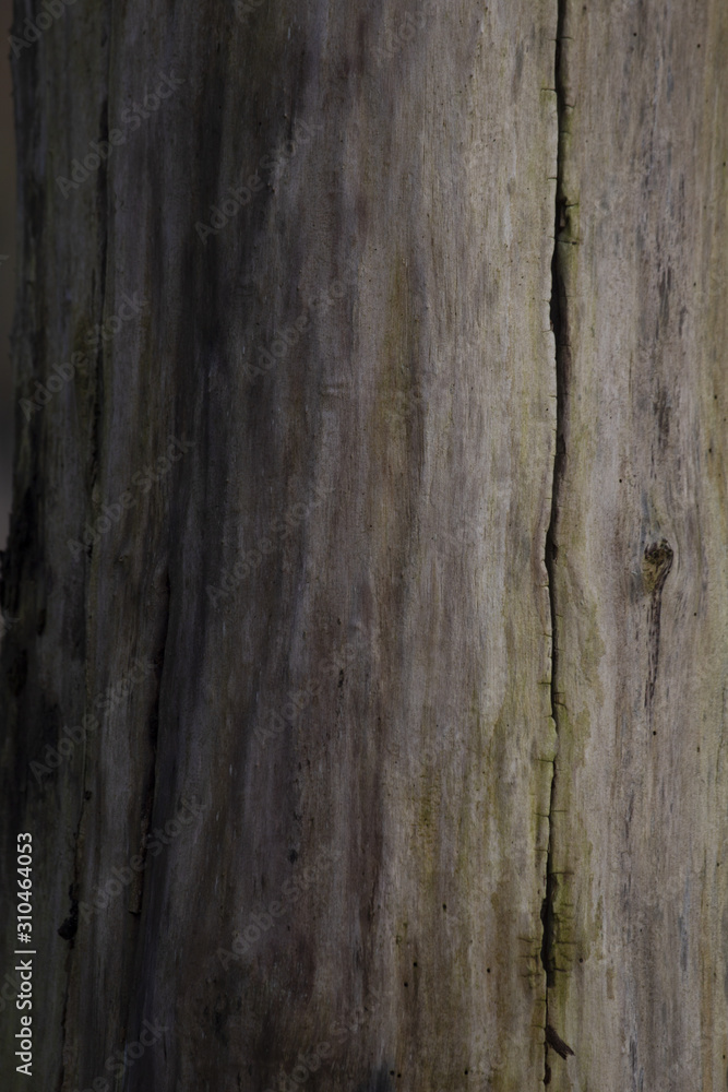 WoodBackground2