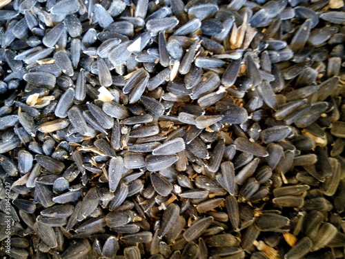 Close-up sunflower seeds at a summer cottage