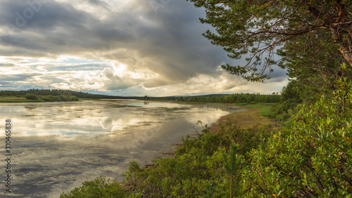 Clouds reflecting in lake. In foreground trees and plants. Sweden.