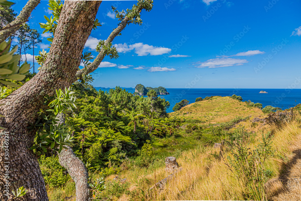 View over cliffy shore of Te Whanganui-A-Hei Marine Reserve on Northern island in New Zealand in summer View over cliffy shore of Te Whanganui-A-Hei Marine Reserve on Northern island in New Zealand in summer