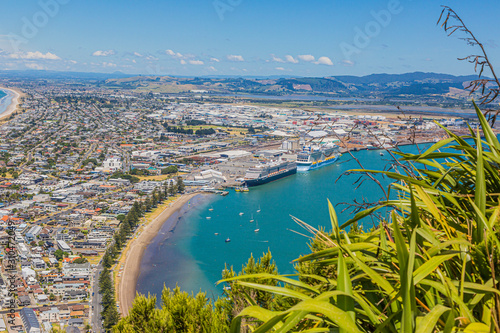 Areal view on harbor and cruise ship terminal of Tauranga city on northern island of New Zealand in summer