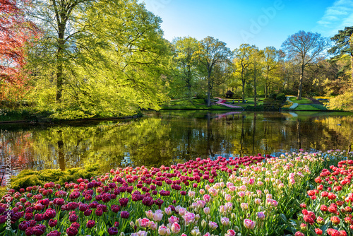 Amazing nature landscape, royal garden Keukenhof at spring. Scenic view of famous park with colorful tulips, green lush foliage, blue sky and reflection in the water, travel background, Netherlands photo