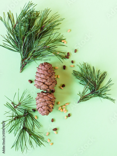 top view, pine cones with nuts on a green background