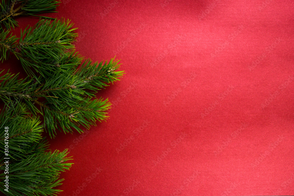 Christmas holidays fir tree branches on red background with copy space for your text