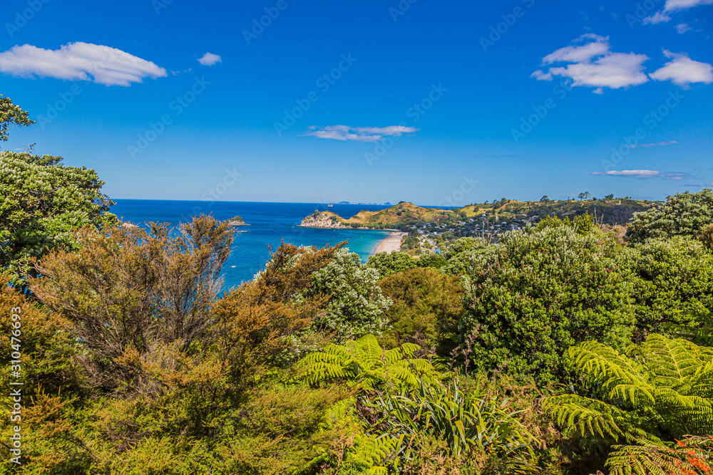View on Hahei beach on northern island of New Zealand in summer View on Hahei beach on northern island of New Zealand in summer