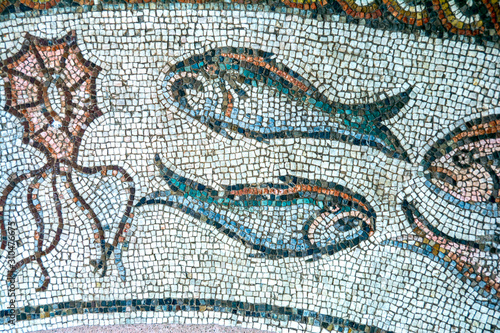 Konstfotografi Treviso, ancient Roman mosaic