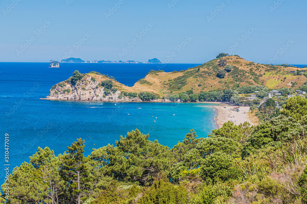 Naklejka premium View on Hahei beach on northern island of New Zealand in summer