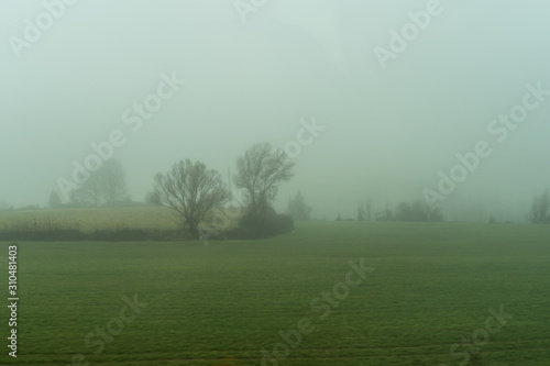 Niebla entre los árboles © Raymond Cold