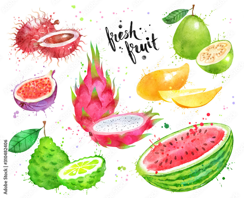 Watercolor hand drawn set of fruit Watercolor hand drawn set of fruit