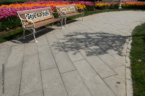 The empty bench in the park
