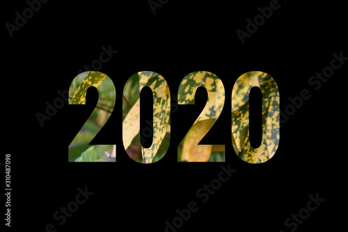 2020 logo for new year celabration