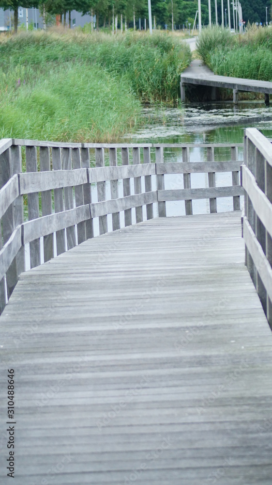 Obraz premium bridge in the park