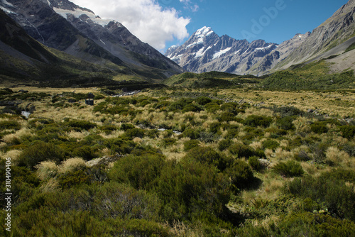 ニュージーランド　マウントクック国立公園 © applevinci
