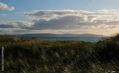View of Galway Bay and the Burren at sunset, taken from a park on Salthill Promenade in Ireland, with long grass in the foregroud photo