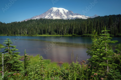 Mount Ranier National Park in Washington State