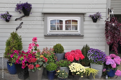 Home flower garden in Norway