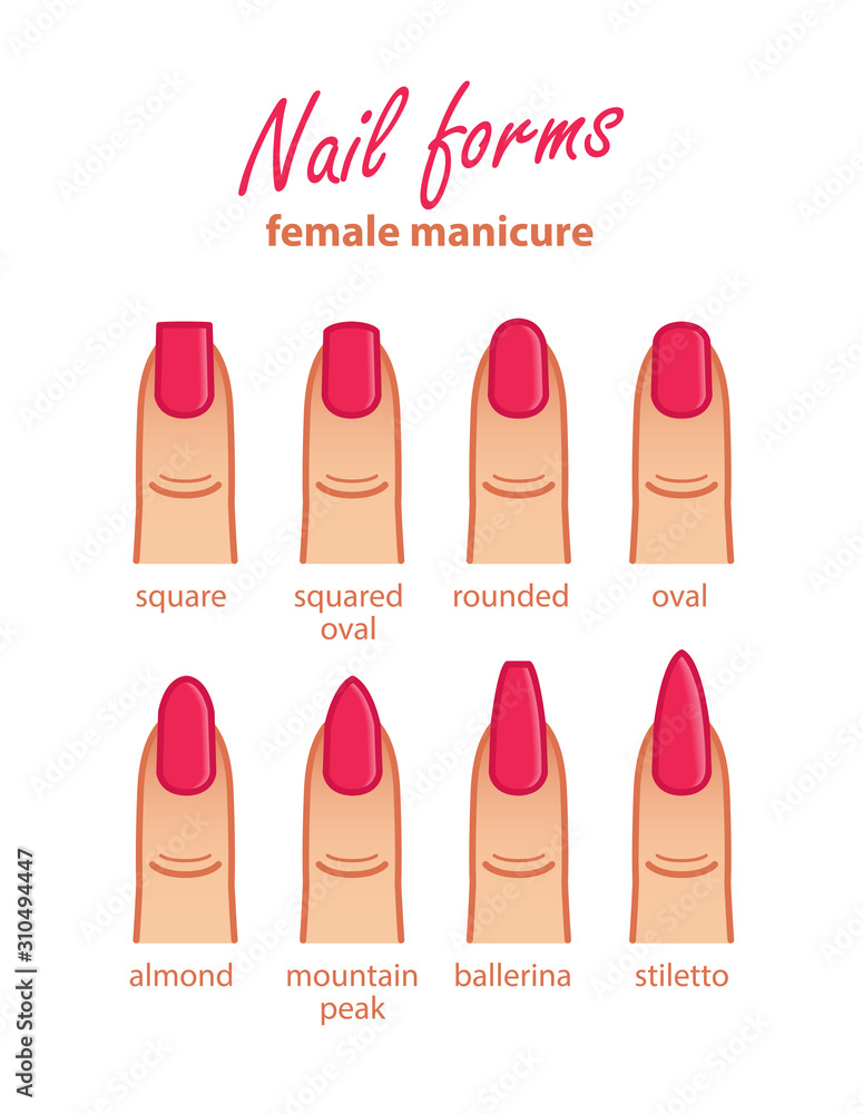 Nail shapes  manicure. Different nail forms. Salon nails type  trends Stock Vector | Adobe Stock