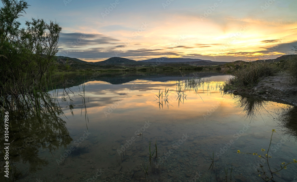 sunset in the lake, reflection of the sun and plants in the water