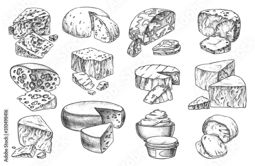 Sketch icons of cheese sorts, whole and slices