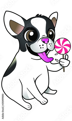 Bouledogue qui lèche une sucette