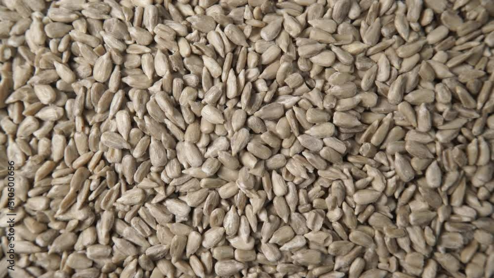 Sunflower seeds as natural food background or texture. Top view. Healthy food Sunflower seeds as natural food background or texture. Top view. Healthy food