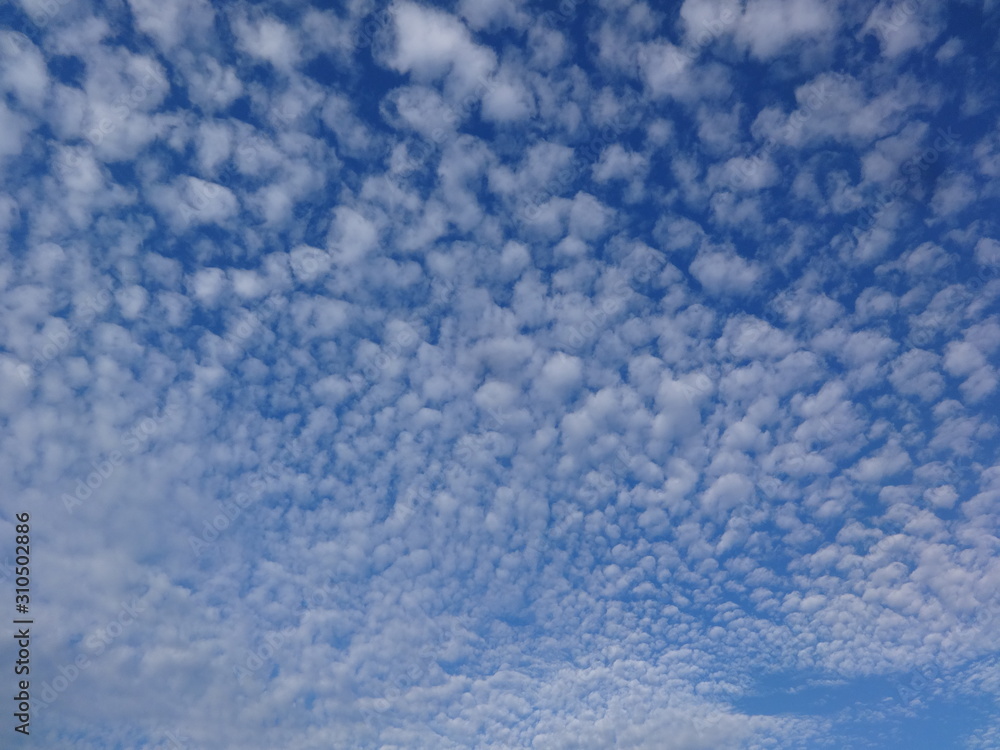 Fototapeta premium Cloud