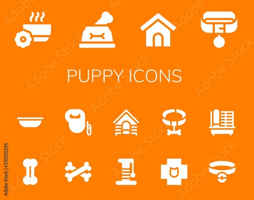 Modern Simple Set of puppy Vector filled Icons
