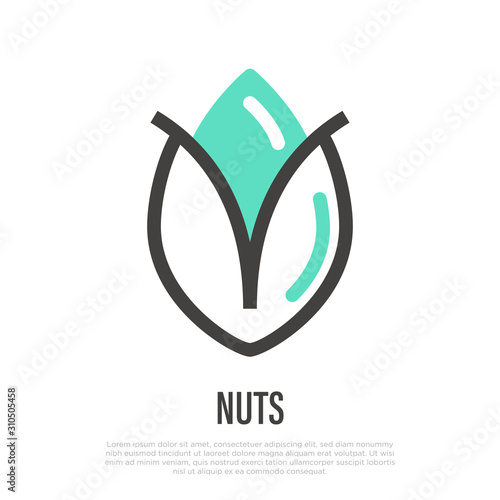 Pistachio thin line icon. Vector illustration.