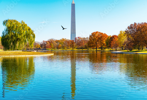 Washington Monument from Constitution Gardens in Autumn