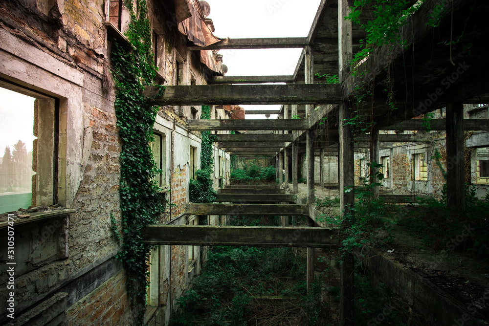 Inside ruined building overgrown by plants. Nature and abandoned architecture, green post-apocalyptic concept