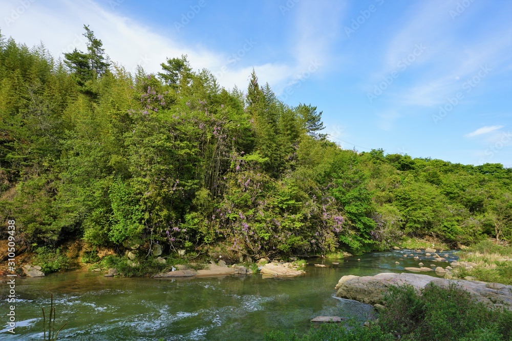藤の山と川の流れ