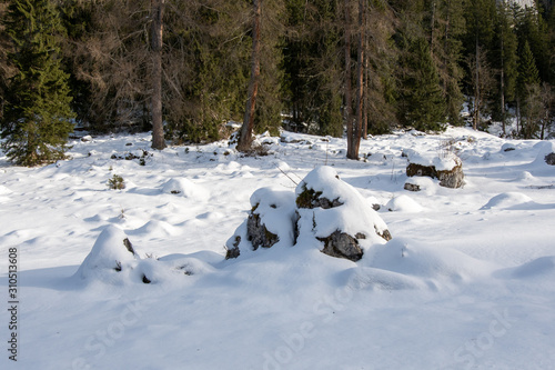 Runde Felsen im Schnee vor Bregwald