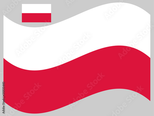 Free Download Wave Poland Flag Vector illustration Eps 10 - GFXLoad