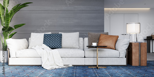 sofa in living room