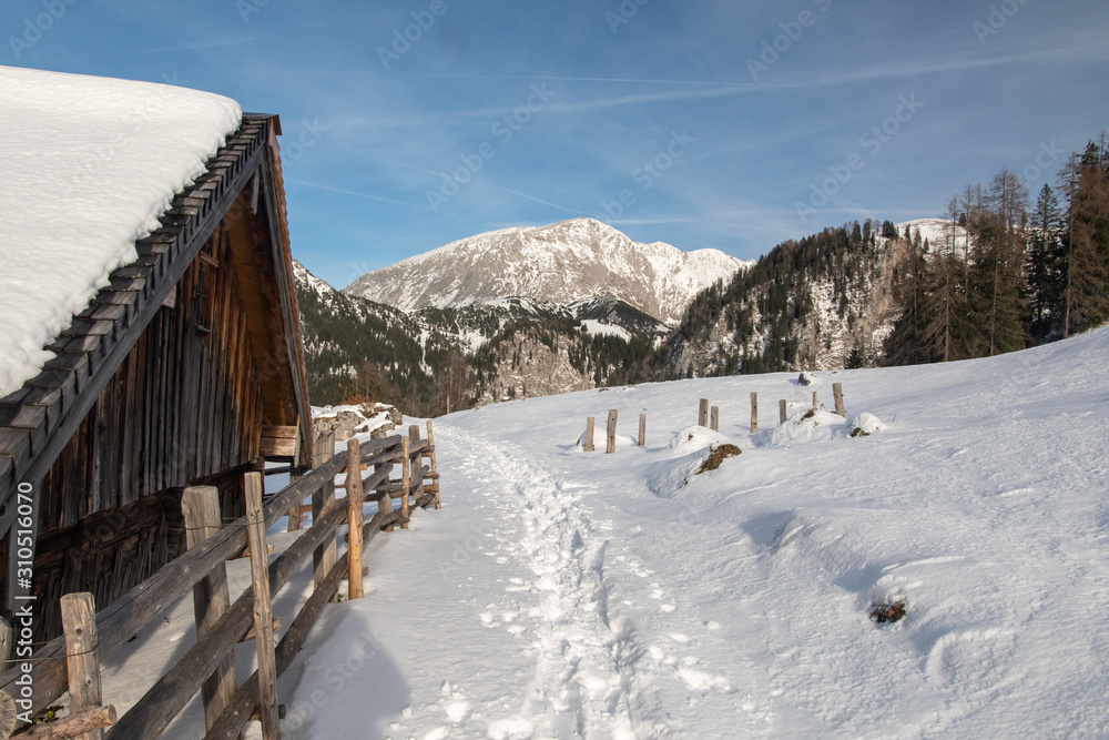 WEg im Schnee mit Front einer Almhütte Zaun und Bergen