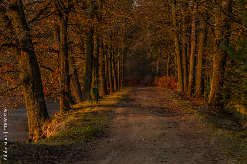 Fototapeta premium Path near Rouda and Olesnicky novy pond in sunset time in winter evening