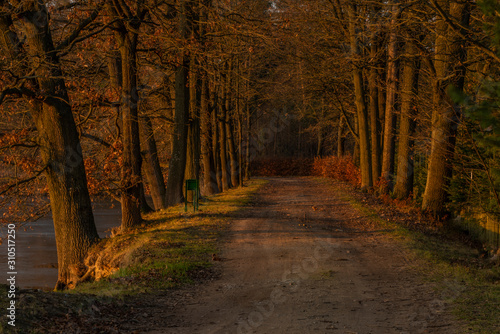 Path near Rouda and Olesnicky novy pond in sunset time in winter evening