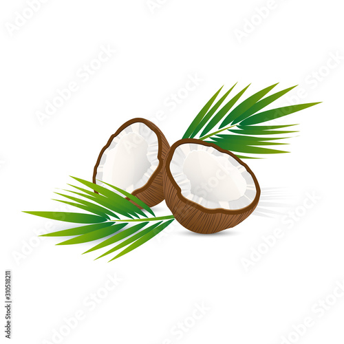 Coconut with leaves vector